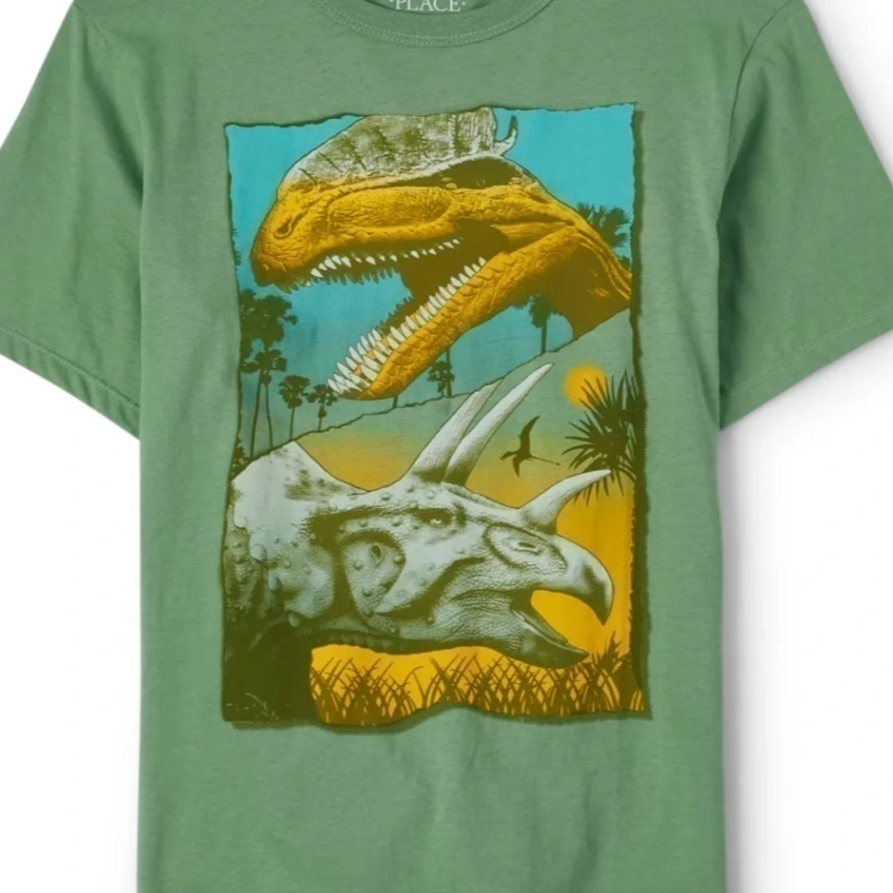 The children’s place boys graphic tee shirt new with tags. Dinosaur graphic